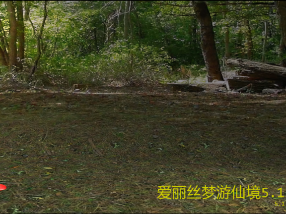 【SD/3D/欧美SLG/汉化/动态】爱丽丝梦游仙境 Alice in Wonderland V5.1 AI汉化版【1.20G】